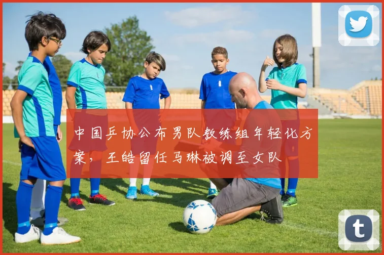 中国乒协公布男队教练组年轻化方案，王皓留任马琳被调至女队